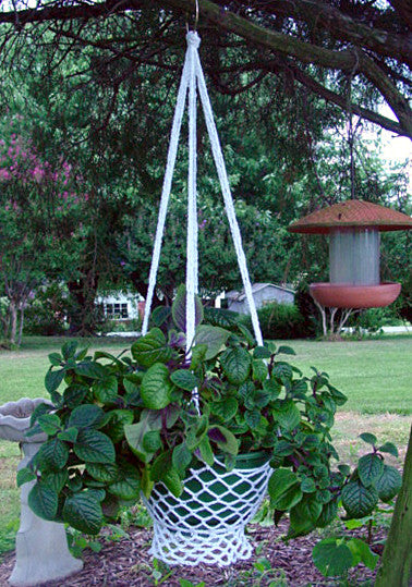 crochet money plant Country Cottage Plant Hanger Crochet Pattern – Maggie's Crochet